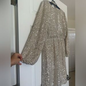 LOFT brand champagne sequence dress.